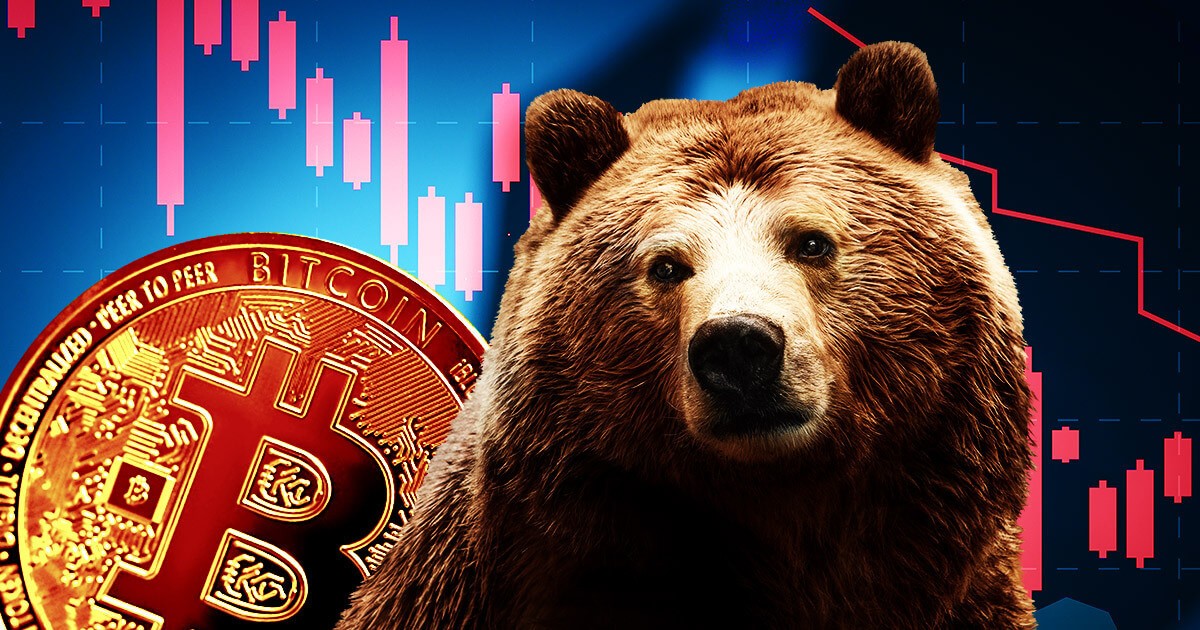 Crypto Bear Market là gì? Giải mã “thị trường gấu” trong tiền mã hóa