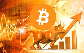 Crypto Bull Market là gì? Giải mã hiện tượng “thị trường bò” trong tiền mã hóa