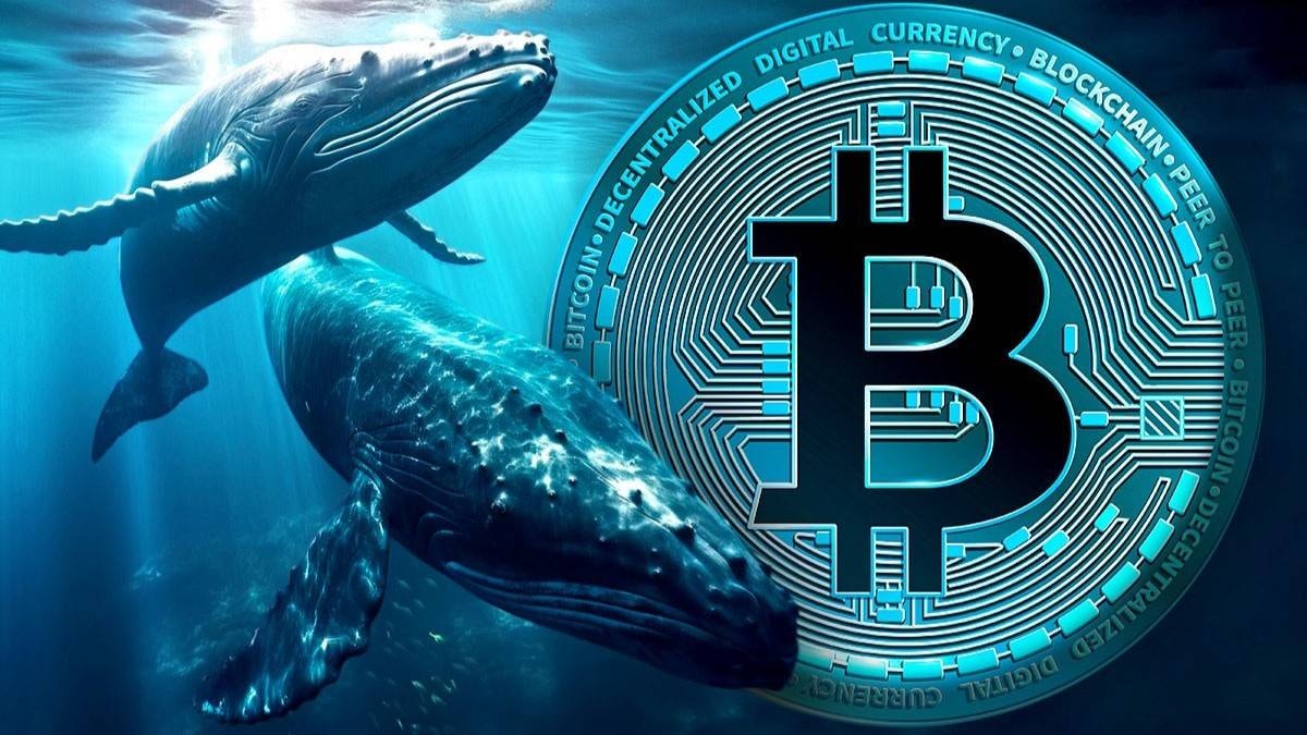 Cá voi Bitcoin gom 1.841,2 BTC, cảnh báo đỉnh parabolic