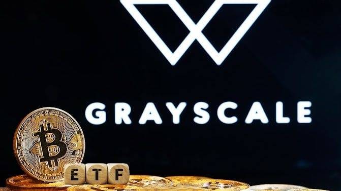 Crypto Large Cap là gì? Tìm hiểu về nhóm tài sản lớn trong thị trường tiền mã hóa