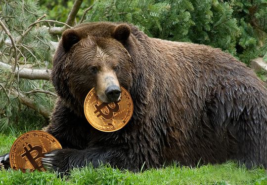 Phe gấu bitcoin giành quyền kiểm soát khi rào cản 110.000 USD bị phá vỡ