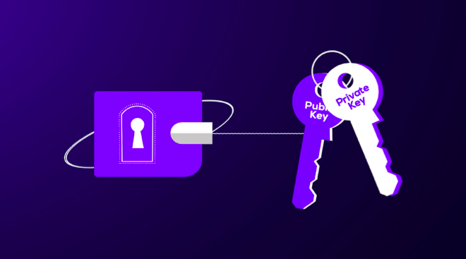 Giải mã Crypto Private Key: Bí mật đứng sau sự an toàn của ví tiền điện tử