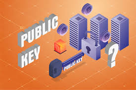 Crypto Public Key là gì? “Chìa khóa công khai” bảo vệ giao dịch tiền điện tử