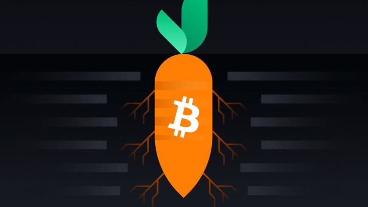 Taproot là gì? Nâng cấp quan trọng định hình tương lai của Bitcoin