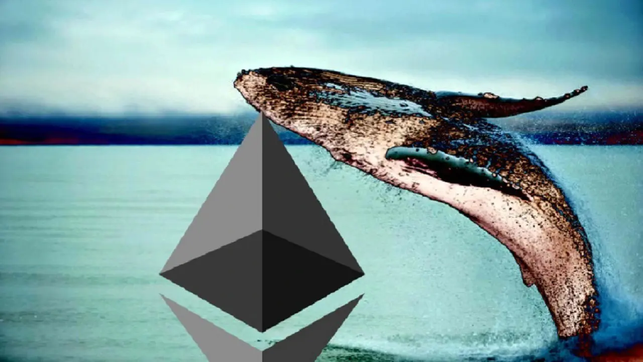 Cá voi Ethereum đẩy mạnh tích lũy: Hàng tỷ USD dịch chuyển vào nắm giữ dài hạn