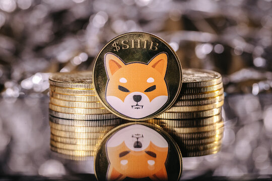Shiba Inu vẫn giữ vững sức hút, nhưng một đối thủ Meme-to-Earn đang dần chiếm spotlight